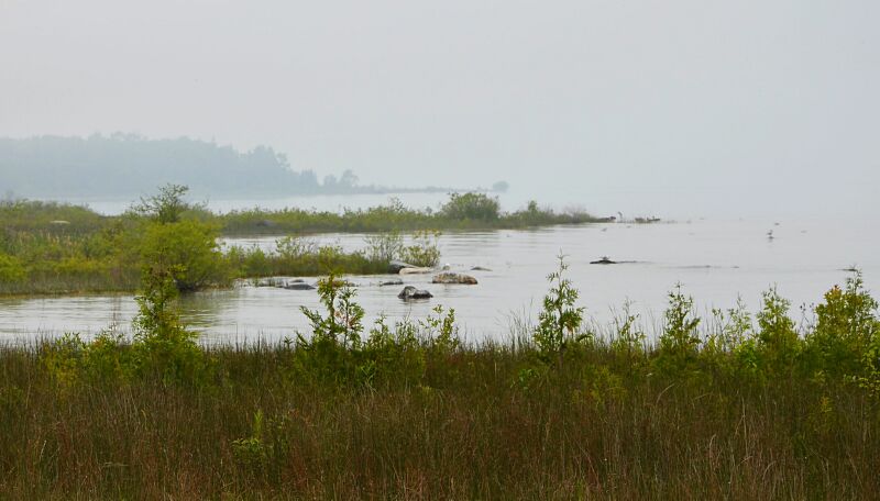 Foggy lake